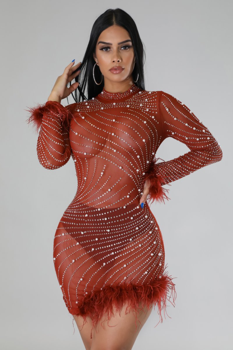 Fancy AF Sheer Mini Dress - Cognac